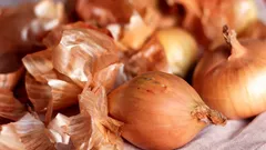 Pořád vyhazujete cibulové slupky? Mohou nahradit drahé masky na vlasy