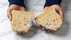 Dá se potravina jíst, když jen odříznete plíseň?