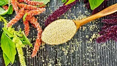 Amarant: v čem je prospěšný pro organismus a proč ho lidé stále častěji volí místo obilovin